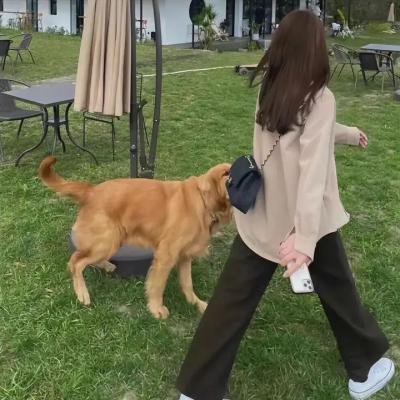 不管妈妈多么讨厌我